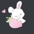 strwbrybunny