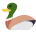 duck duck