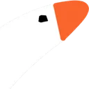 pp
