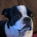 luluscared