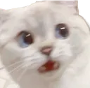 silvershocked
