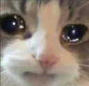 Sad