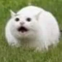 Kitty2 Kitty2 Discord Emoji