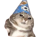 catwizard