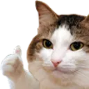 catthumb
