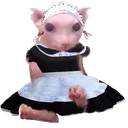 MAIDBINGUS