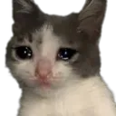 Sad_kitty_face Discord Emoji