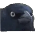 crow_of_judgement