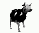 polishcow