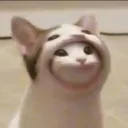 popmpopop