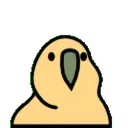 DancingParrot