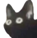 scarekatnobg