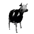 PolishCow