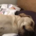 sleep sleep