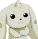 Terrierhodo Terrierhodo