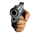 Gun