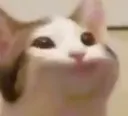 smug