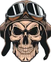 skull