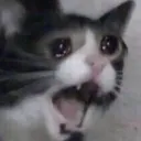 A_Screm_REH