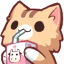 catSip