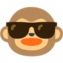 monkesunglasses monkesunglasses