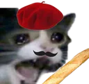 Sadbaguette