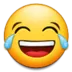 Se Facewithtearsofjoy Discord Emoji