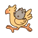 pusheenridechocoboa