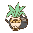 pusheennina Discord emoji