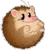 hedgyBALL