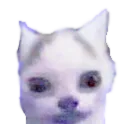 Uhhhhhhh