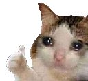 sp_cat_thumbsup Discord emoji
