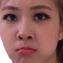 RoseGrump Discord Emoji