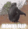 monkiflip
