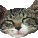 adorisleep