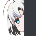 riepeek