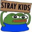 p_straykids