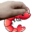 Shrimp Pat Discord Emoji