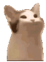 poppopcat Discord Emoji