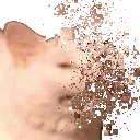 echsnap