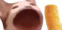 BROthecat