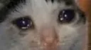 sad_cat