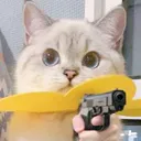 pau_gun