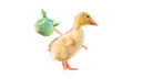 RunawayDuck