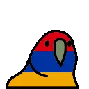 armeniaparrot