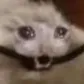 hrngnom