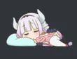 sleepkanna