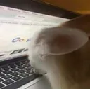 onthegoog onthegoog