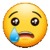 se_crying Discord Emoji