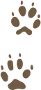 pawprint